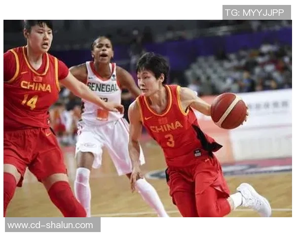 2008年中国篮球巅峰时刻回顾与影响分析